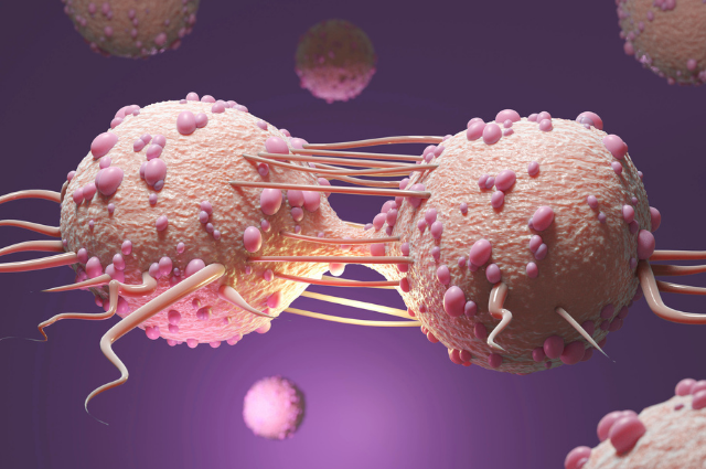 benign tumor vs malignant